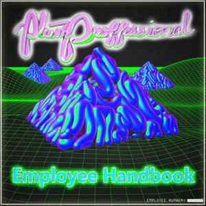 Plum Professional - Employee Handbook FLAC