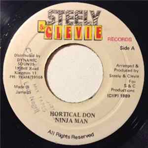 Ninja Man - Hortical Don FLAC