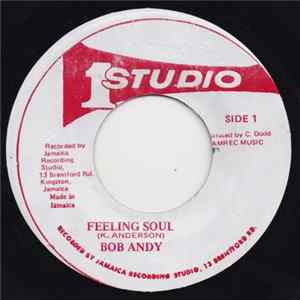 Bob Andy - Feeling Soul FLAC