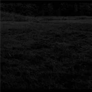 Confusion On My Radio - I Want To Die Alone FLAC