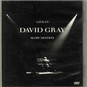 David Gray - Live In Slow Motion FLAC