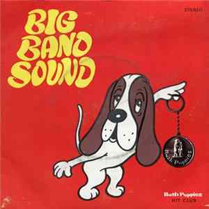 New Swingtett - Big Band Sound FLAC