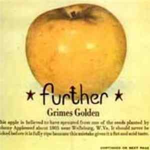 Further - Grimes Golden FLAC