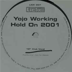 Yojo Working - Hold On 2001 FLAC