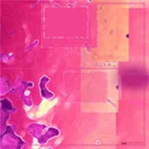 Osictone - Flowerfields FLAC