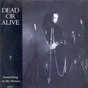 Dead Or Alive - Something In My House FLAC