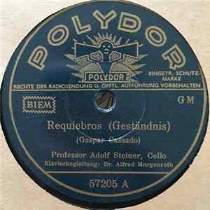 Professor Adolf Steiner - Andalusischer Tanz / Requiebros (Geständnis) FLAC