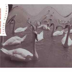 Zoltán Lantos' Mirrorworld - Tiptoe Ceremony FLAC