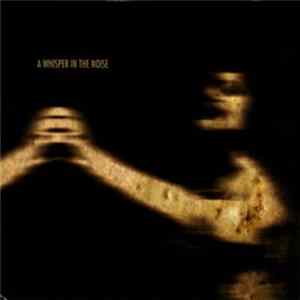 A Whisper In The Noise - A Whisper In The Noise FLAC