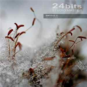 Various - Enfold 01 FLAC