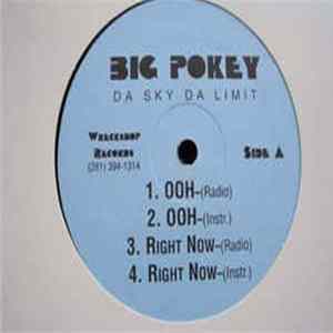 Big Pokey - Da Sky Da Limit FLAC