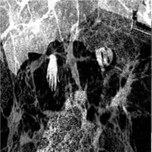 Dead Body Collection / Churner - A Body Was All That Was Left FLAC