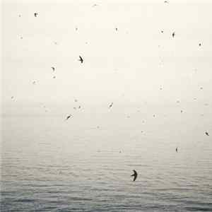 On - Your Naked Ghost Comes Back At Night FLAC