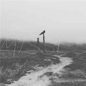 My America Is Watching Tigers Die - Misses FLAC