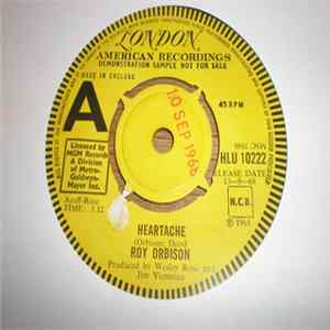 Roy Orbison - Sugar Man FLAC