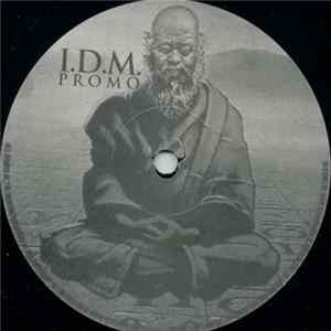 Helen T - Diverse City / Hal's Warning FLAC