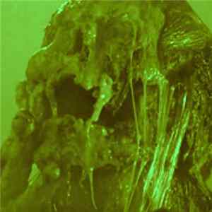 Molten Flesh - MOLTEN FLESH IV FLAC