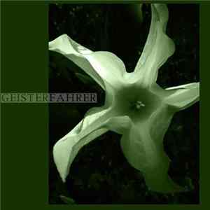 Geisterfahrer - One Lonely Cricket FLAC