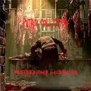 Putrid Collector - Preterhuman Lacerator FLAC