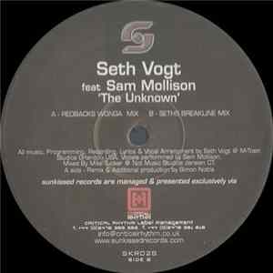 Seth Vogt feat Sam Mollison - The Unknown FLAC