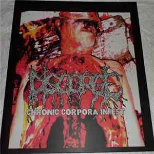 Disgorge - Chronic Corpora Infest FLAC