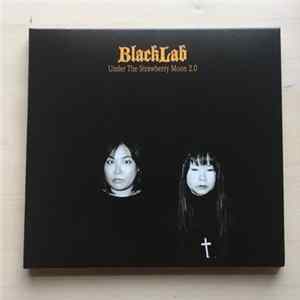 BlackLab - Under The Strawberry Moon 2.0 FLAC