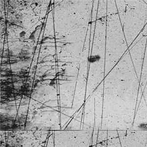 Black Electronics - Punks Like Us FLAC