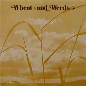 Anne Macksoud - Wheat And Weeds FLAC