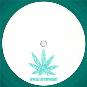 Unknown Artist - Jungle On Broadway FLAC