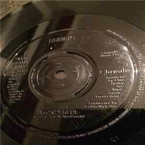 Runrig - Wonderful FLAC
