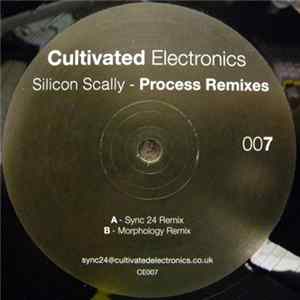 Silicon Scally - Process Remixes FLAC