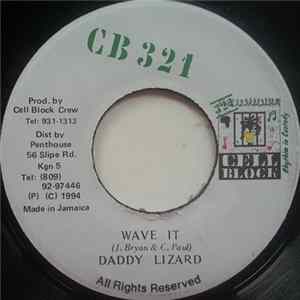 Daddy Lizard / Fargo Voice - Wave It / Past Interview FLAC