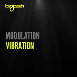 Modulation - Vibration FLAC