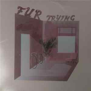 FUR - Trying / Not Enough FLAC