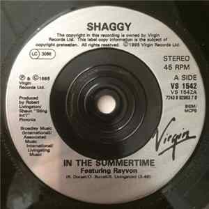 Shaggy - In The Summertime FLAC