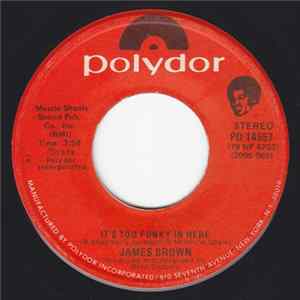 James Brown - It's Too Funky In Here / Are We Really Dancing FLAC