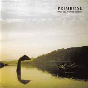 Primrose - What You Want To Believe FLAC