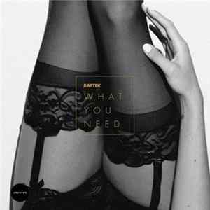 Baytek - What You Need Pt. 2 FLAC
