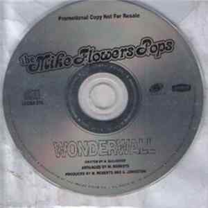 The Mike Flowers Pops - Wonderwall FLAC