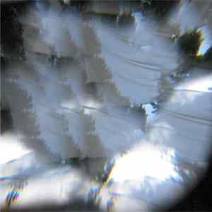 Cmd - Wild Light FLAC