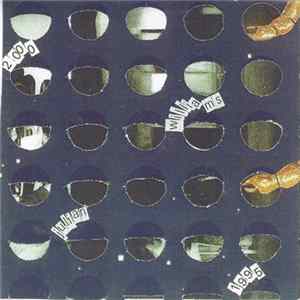 Julian Williams - Leaf Rain (1995-2000) Solo Works FLAC