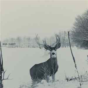 Veils - Clarity FLAC