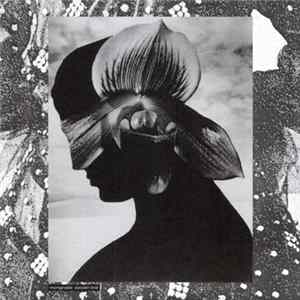 Impregnable - Wooden Love FLAC