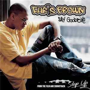 Chris Brown - Say Goodbye FLAC
