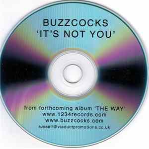 Buzzcocks - It's Not You FLAC