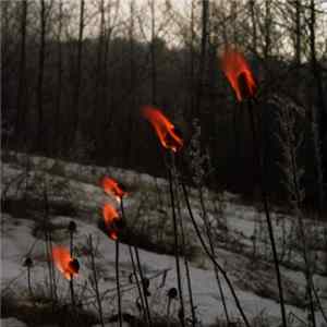 Ayr - Eternal Sustain FLAC