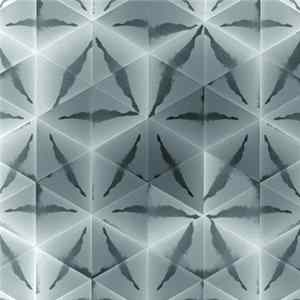 Shine 2009 - Versions FLAC