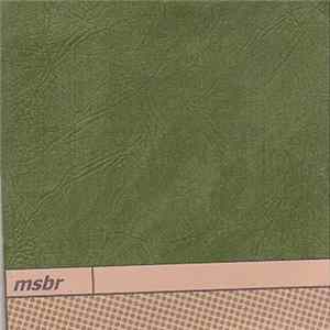 MSBR - Space Lab Green FLAC