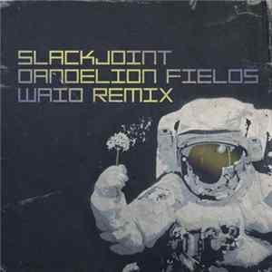 Slackjoint - Dandelion Fields - Waio Remix FLAC