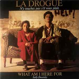 Sally Dworsky - What I Am Here For FLAC